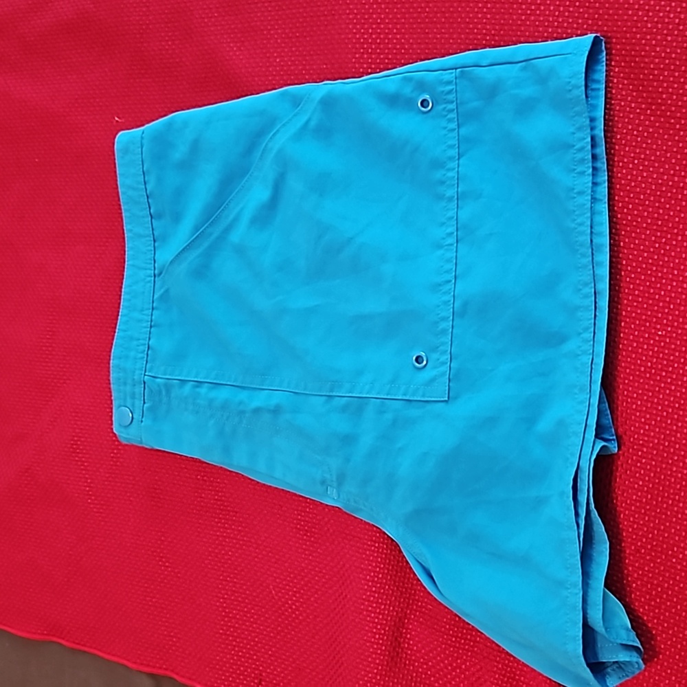 Maxine of hollywood swim shorts